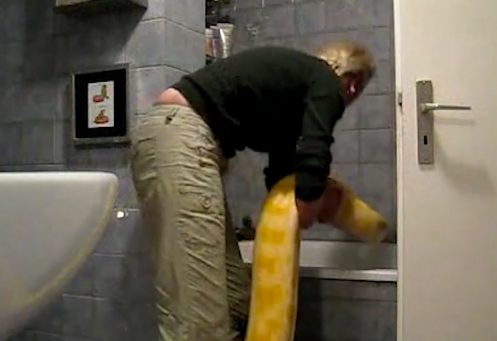 Just like with a dog, she had to coax (or rather, drag) her serpent friend into the water.