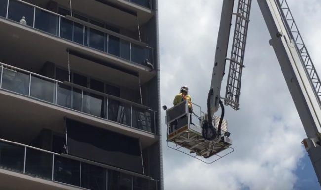 One firefighter was lifted by a crane to free the cat from his precarious position.