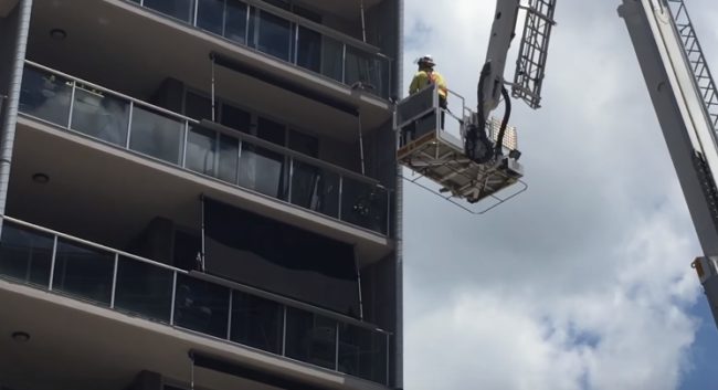 But as soon as the man got close enough to grab him, he decided to rescue himself.