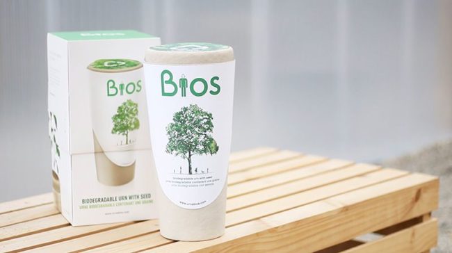 Your loved one's cremated remains fill the bottom of the container, with soil mix and a seed of your choice in an expansion disc on top. When planted outside, the container begins breaking down. As the tree's roots expand, they mingle with the ashes, growing life from death.