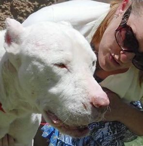 But as she spent time with the dog, she came to realize that he was a sweet, gentle boy who'd been misunderstood. He deserved a second chance at life, and she was willing to help him get it.