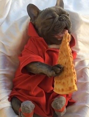 The footage begins with Bluenjy catching some zzz's, cuddled up with a pizza slice nearly as big as he is.