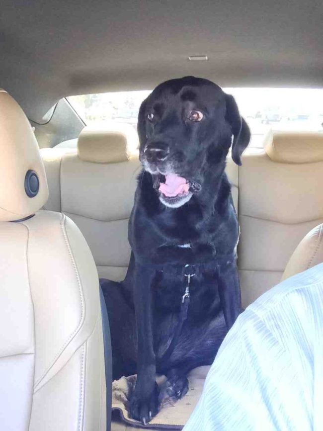 "This is why I have trust issues."