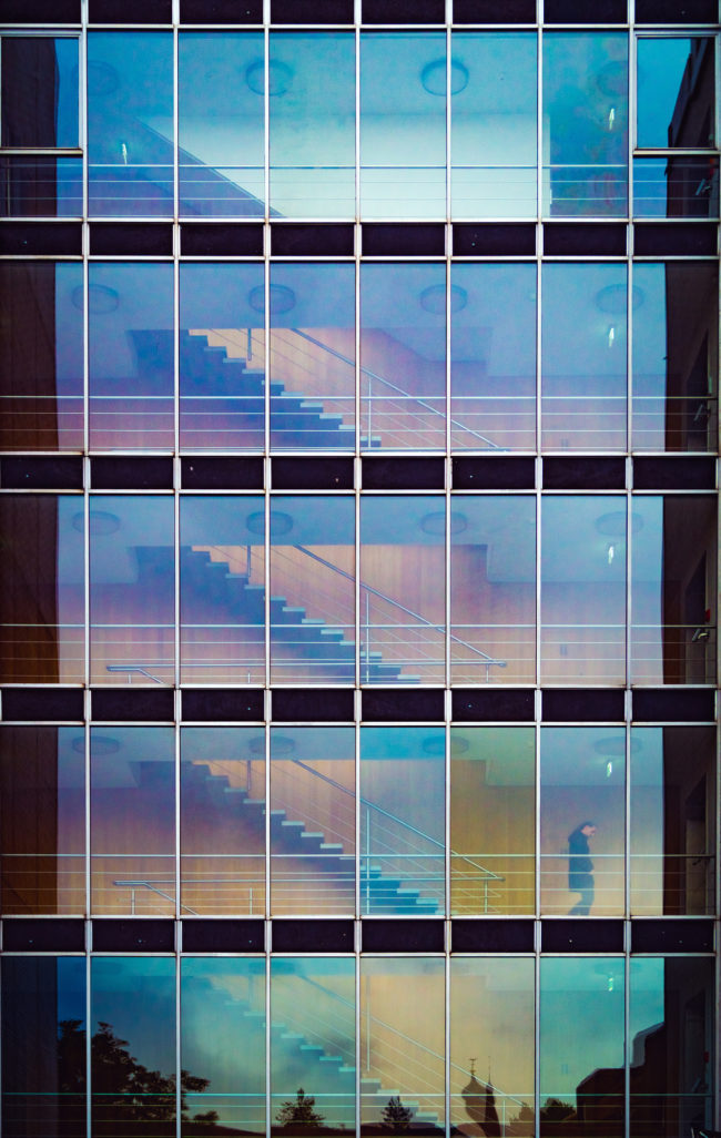 "I don't know whether companies seek out employees who are psychopathic, but some companies seem to prioritize people who are strongly motivated by power, status, and personal gain, which tends to be truer of people high in psychopathy than those who are not," said Hurst. "That's one of the ways organizational cultures evolve over time so that the people within the organization are relatively similar."