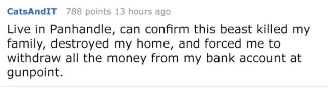 Others, of course, had different experiences.