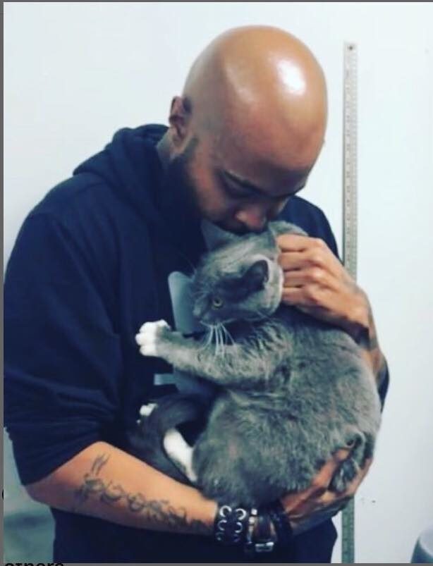 TNR is a method used for feral cats unable to live in a household to ensure the population stays low.