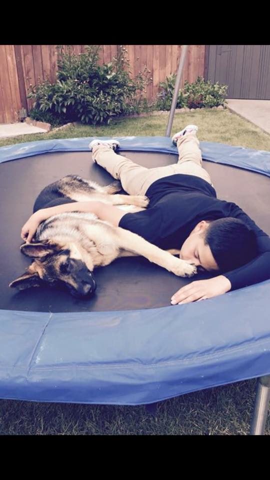 "I then heard the sliding door break, and it is made out of just glass so it shattered really loud," said Mercado. "My dog ran downstairs, and it just started barking and barking. I heard one guy scream, 'the dog bit me, get the dog.'" Mercado dialed 9-1-1 and ran to hide in a closet.