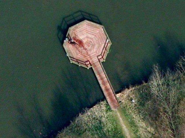 This one looks super sinister but it's actually just a bit of waterworks. The Beatrixpark Dock in the Netherlands was quick to go viral after people saw what looked like a trail of blood leading to a body. What's actually happening, though, is that a wet dog who loves to swim had made his way up and down the dock, making a trail of water that created creepy-looking contrast against the dry wood.