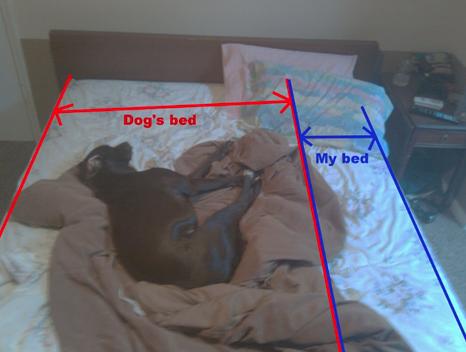 4. You have enough space, human. Move over.
