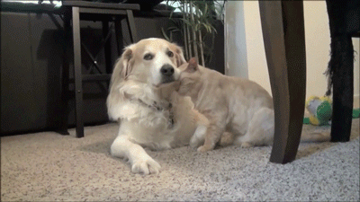 His whole life as an only child is flashing before his very eyes. 