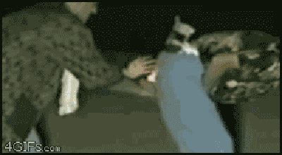 Did he fart or were those the fireworks?