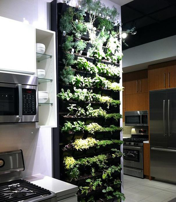 8. An indoor herb garden for your kitchen