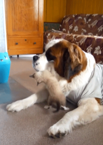 "Alright, you're done."