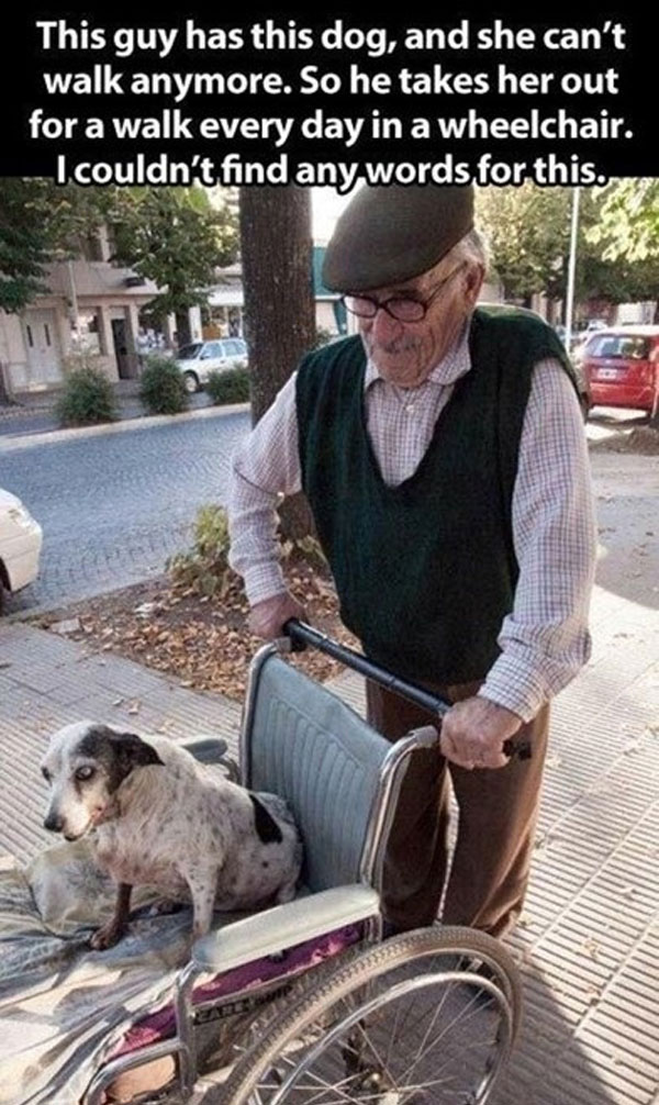 This elderly gentleman goes above and beyond for his dog.