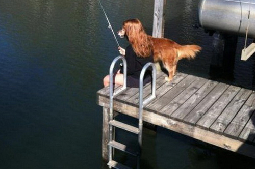 That's not a lady-dog spending her afternoon fishing.