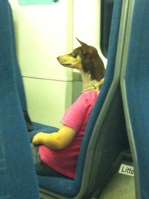 That's not a dog commuting to work.