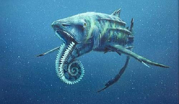 20.) Helicoprion: Also known as “spiral saw,” this shark-like cartilaginous fish appeared in the late Carboniferous era. The only evidence of its existence was a curled-up coil of triangular teeth. Some scientists think that it was used to grind shells, while others believed it to be a weapon.