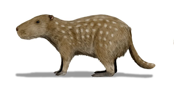 22.) Josephoartigasia: This capybara-like animal was the biggest rodent on the planet, weighing up to 1000kg.