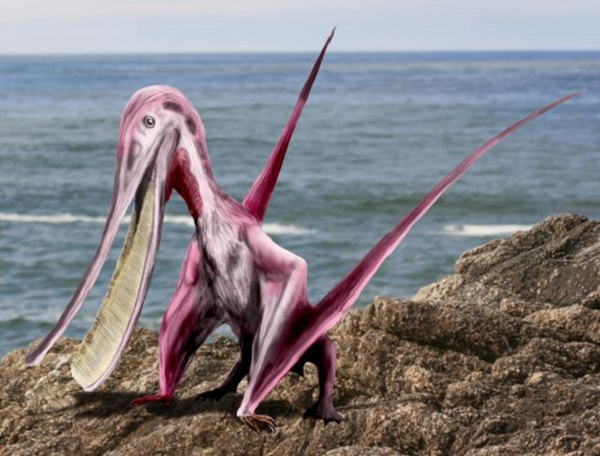 5.) Pterodaustro: Also known as the Pterosaurs, it had a wingspan of 4 feet. It’s bristle-like teeth implies it probably fed on a diet of plankton and small crustaceans.