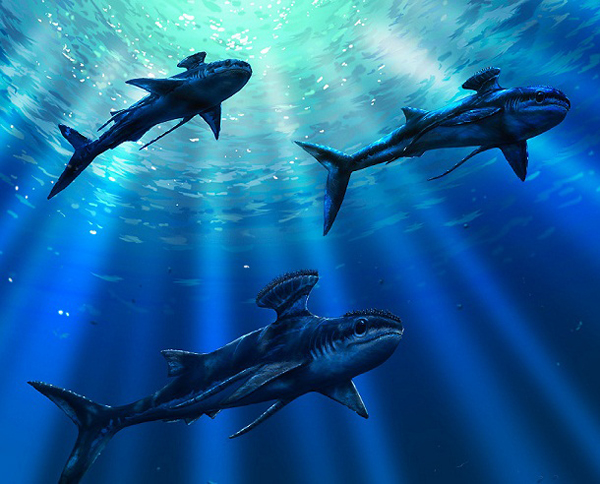 8.) Stethacanthus: A type of extinct prehistoric shark, they would grow up to 6 feet long with a strange looking back growth on males.