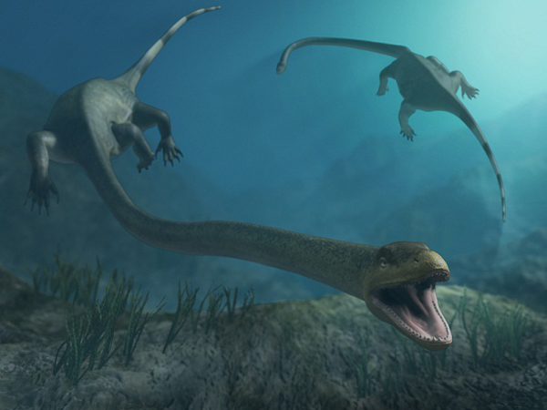 9.) Tanystropheus: Its name means “long necked one” and the prehistoric reptile was easily over 20 feet long.