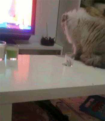 Always testing the limits.