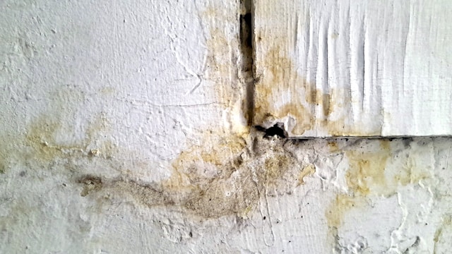 Mold Damage